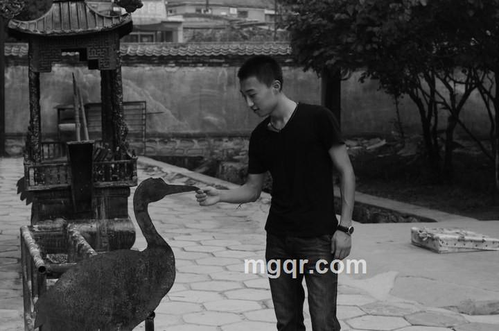 张开翅膀的头像