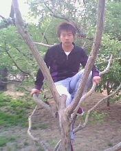 JZM的头像