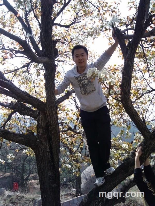 自然过客的头像