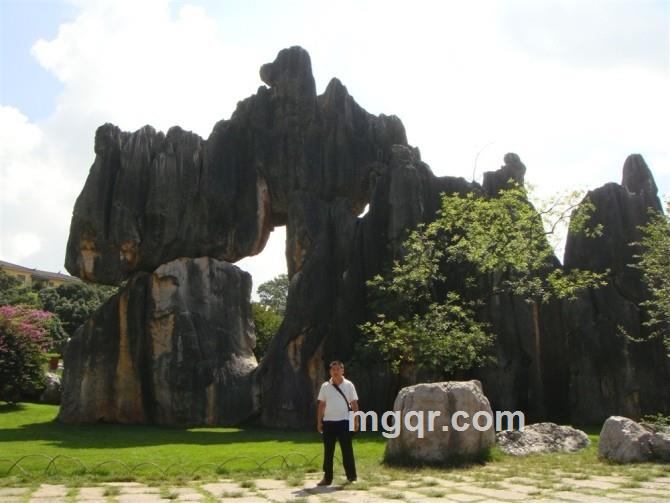 中原战警的头像