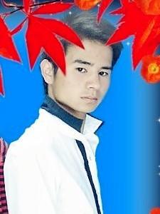 天涯明月何风情的头像