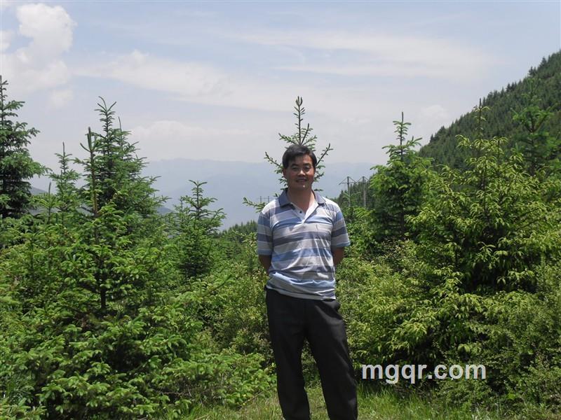 寒冬之夜的头像