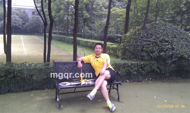 石头上青蛙的头像