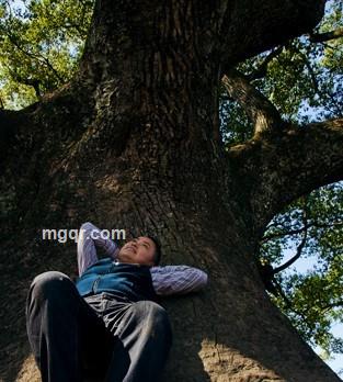 天涯涛声的头像