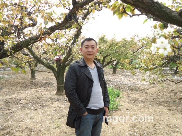 柔情之夜的头像