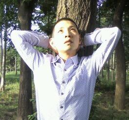 冬天的梧桐树的头像