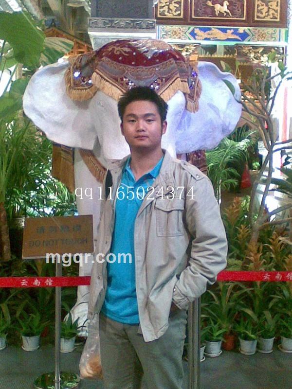 蓝色星辰的头像