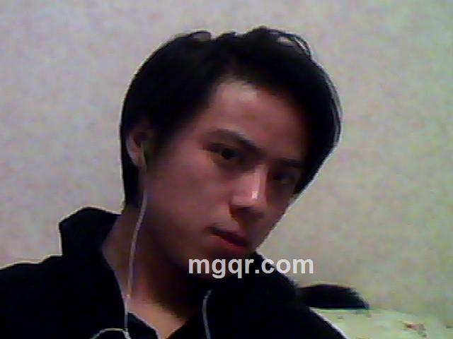 暂时放飞的头像