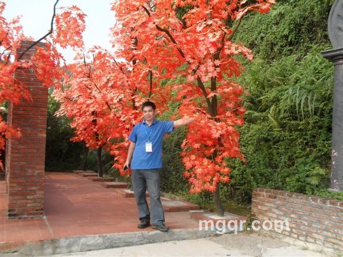 风吹大地的头像