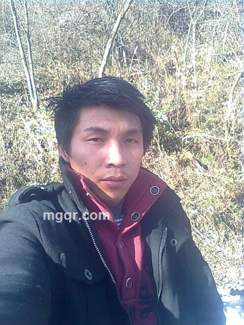 离开水的、鱼的头像