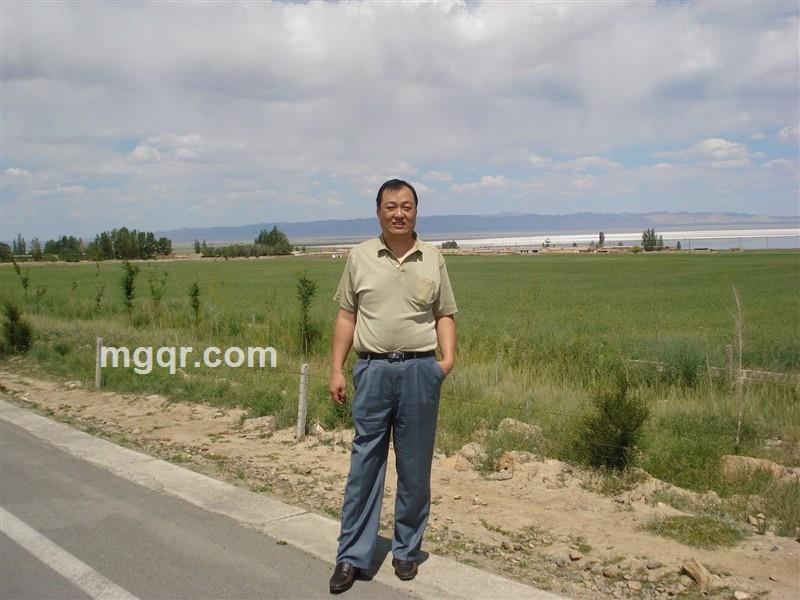 蚂蚁与蝴蝶的头像