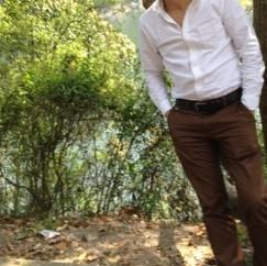 菊花的刺的头像