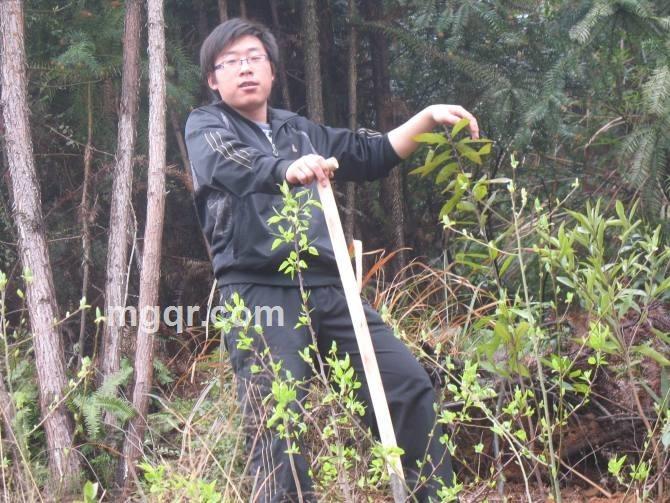 已为他妻别入我梦的头像