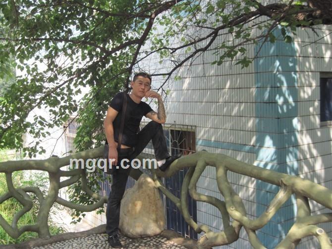 哥り低调至此的头像