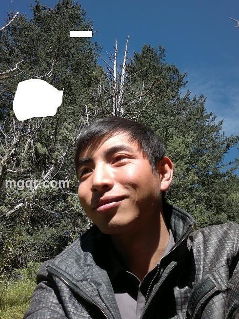 爱是给力还是伤不起的头像