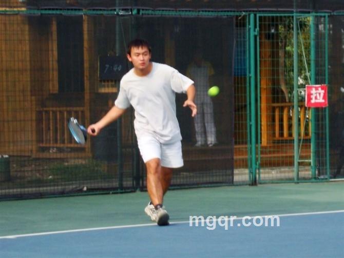 大象保姆的头像