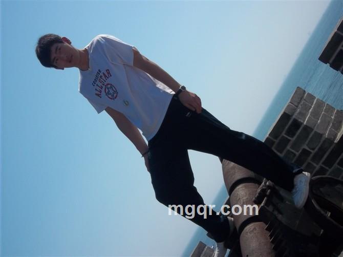 风中等待的头像