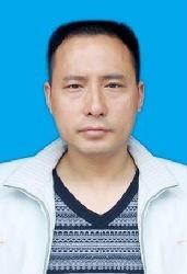 温柔的芭蕉树的头像