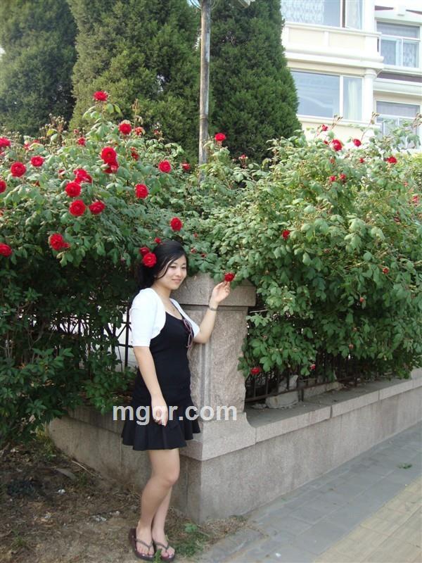 玫瑰小蜜的头像