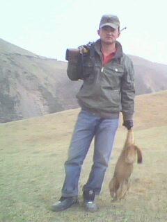 临松苍狼的头像