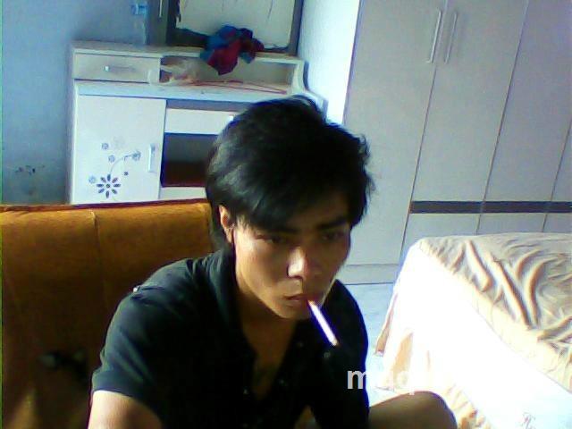 我是狐狸-你是猫 的头像