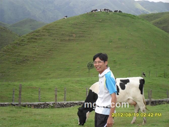 石山喷泉的头像