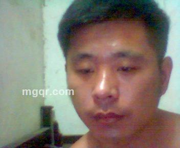 坚强的小刺猬的头像