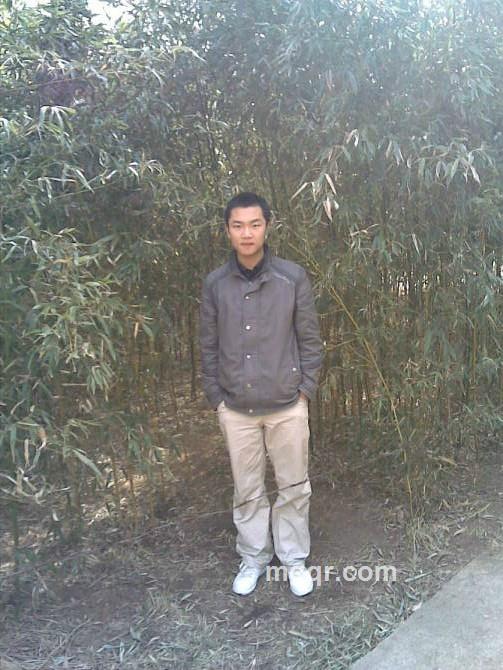 金刚小炮的头像