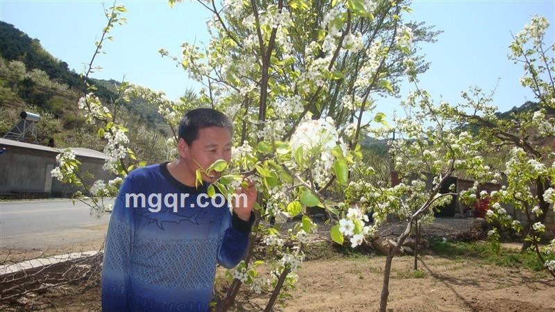 我简单我快乐的头像