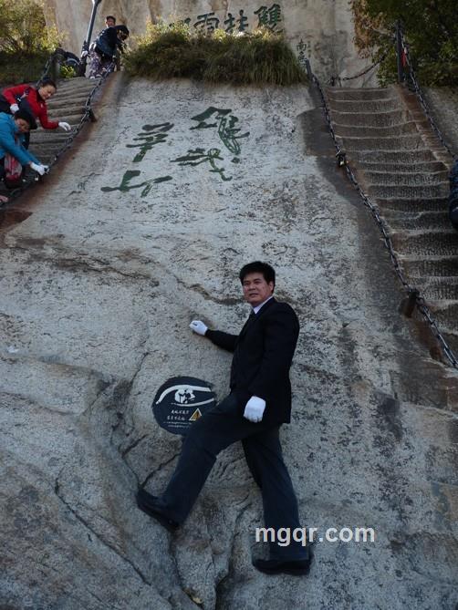 一叶佳茗的头像