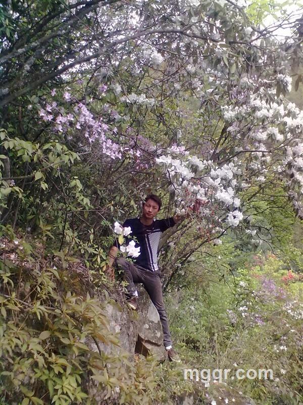 越位的青春的头像