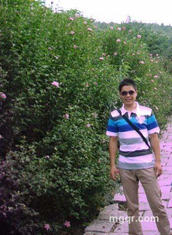 汤姆啊汤姆的头像