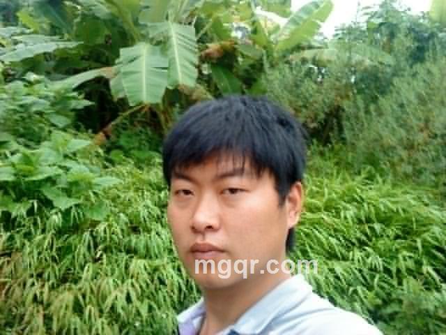 不做受伤的孤狼的头像