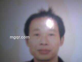 飞龙之梦的头像