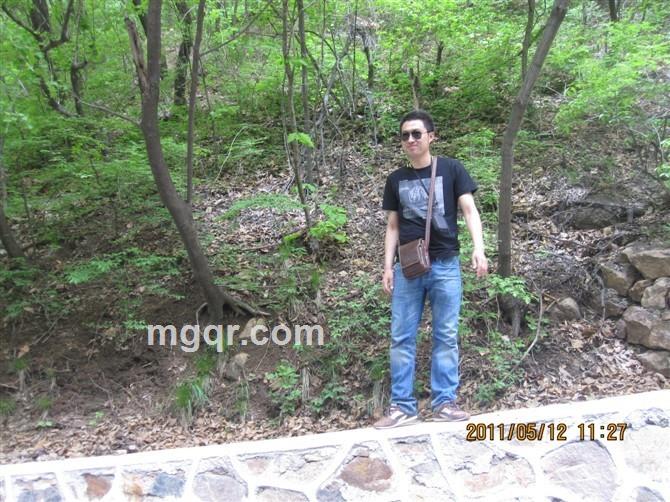 天若有情9的头像