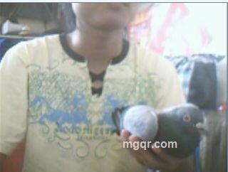 大**宝**哥的头像