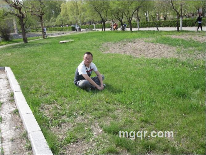 飘落的树叶的头像