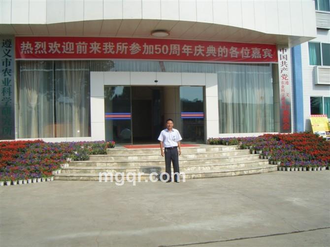 龙行天下OK的头像