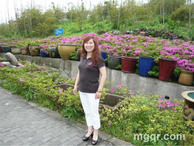 十九大委员的头像