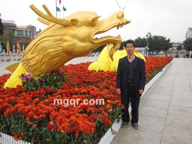 晴天碧海的头像