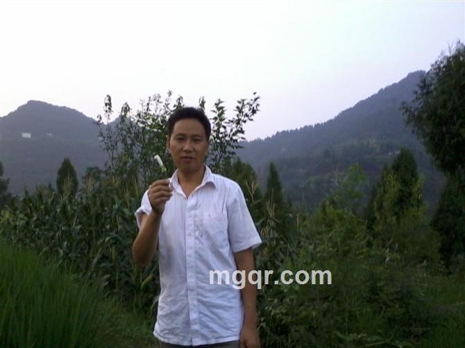 慢步的云的头像