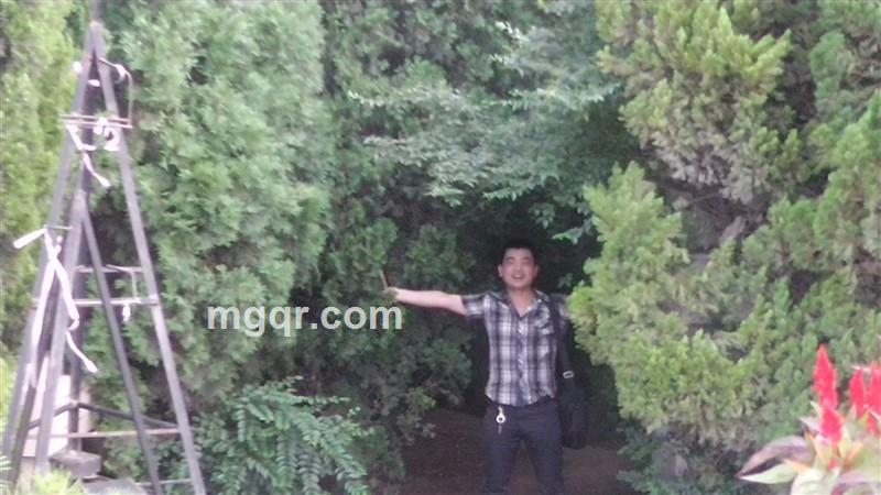 修罗王123的头像