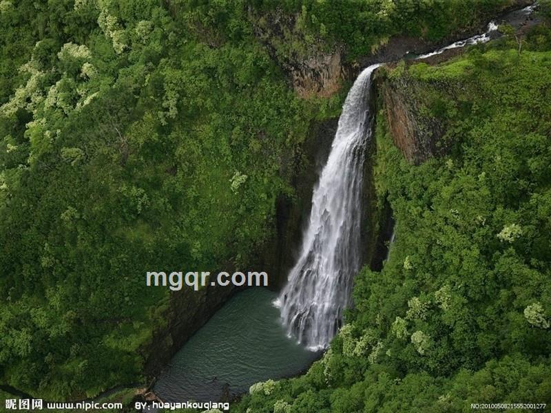 蹲墙角@等红杏的头像