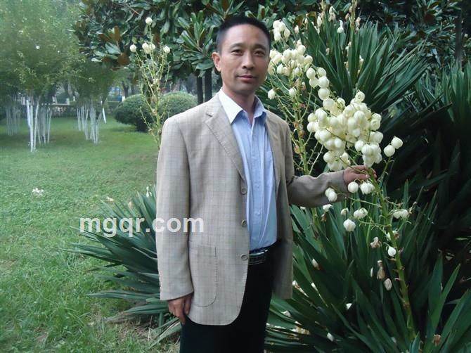 中国刘宇的头像