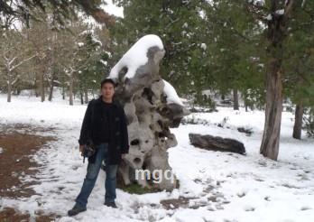 成都狼友暂居西昌的头像