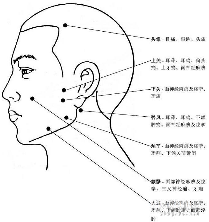 雄鹰雄起的头像