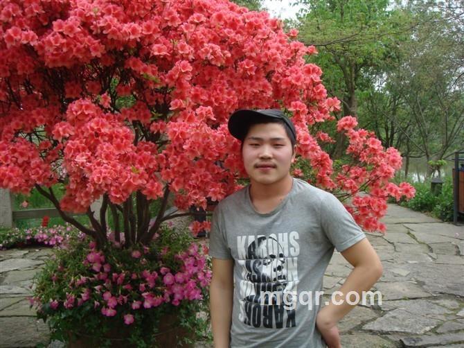 消失 等待你的出现的头像