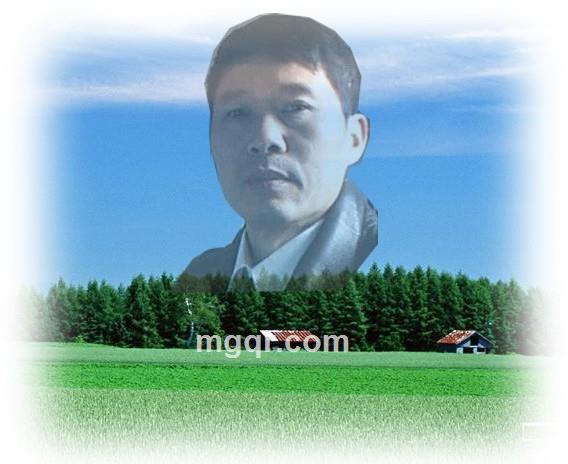 yshanyingin的头像