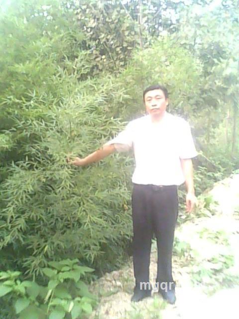 迷茫四爷的头像