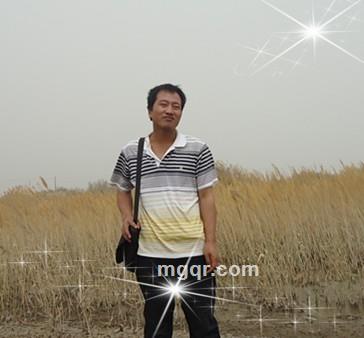慵懒人生的头像